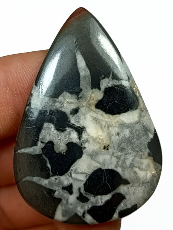 Septaria
