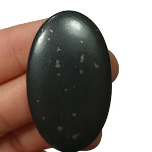 Shungita