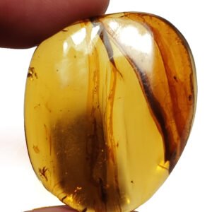 Ámbar mexicano con inclusiones